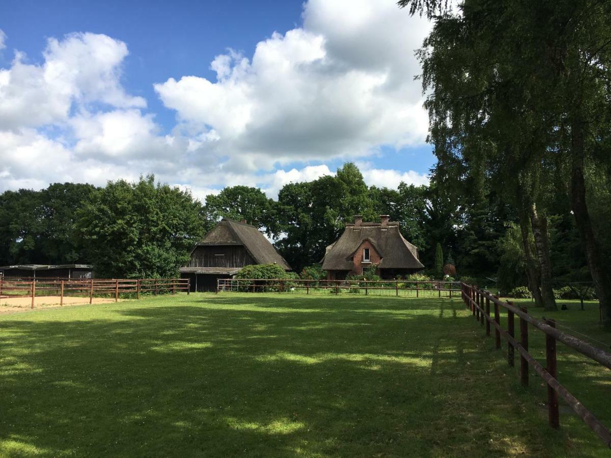 Huck's Ferienhaeuser * Borstel (Schleswig-Holstein)